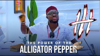 The Power Of Alligator Pepper:  What you were never told