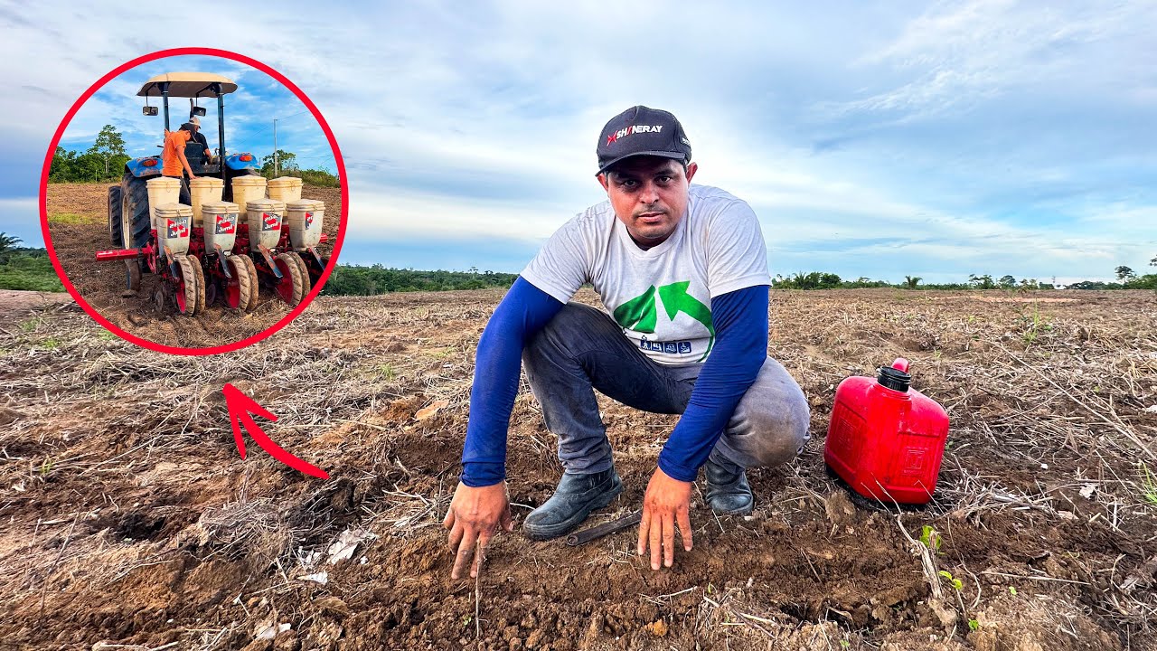 4 Hectares de Milho | Preparação do Adubo e Plantio - Fala Moçada 🌽🌽🌽