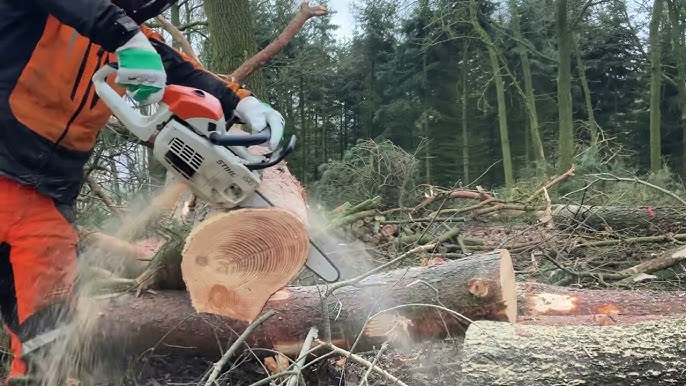 Stihl MS 201 C-M 