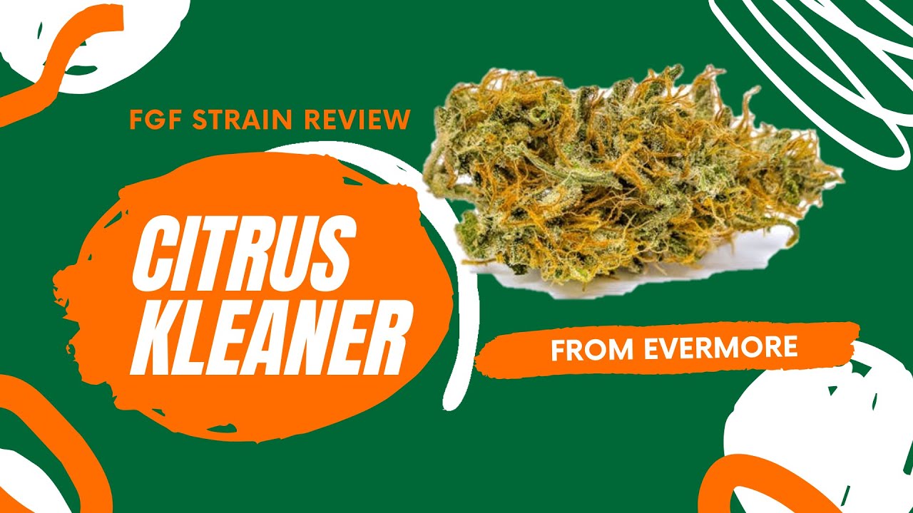 FGF Strain Review: Citrus Kleaner from Evermore