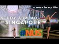 Studying abroad in singapore  a week in my life nus exchange student