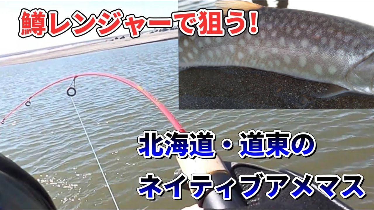 アメマス釣行パート2 鱒レンジャーで狙う 北海道のネイティブアメマス Youtube