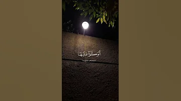 وماتلك بيمينك ياموسي بصوت للشيخ كامل يوسف البهتيمي 