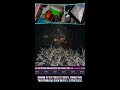 ✿  LIVE 26th DAY FEB 2026 streaming games on my Steam library