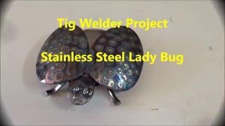 Tig Welder Project - Stainless Steel Lady Bug @ShedBuiltStuff