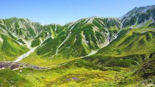 سورة الناس بصوت القارئ عبد المحسن الحارثي