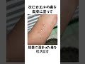 みりおのコンビニ行く感覚で命賭ける「友人M」に関する生存報告