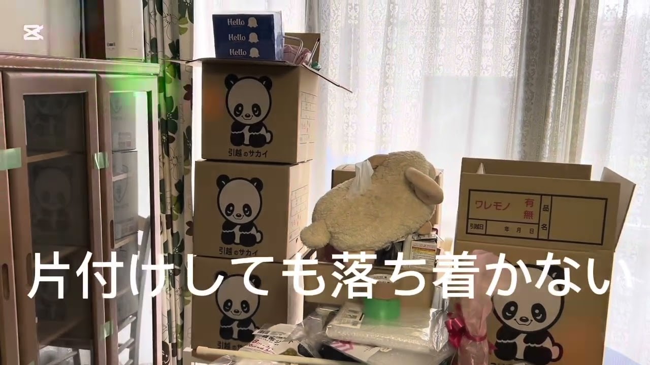 第100回の動画です、ご視聴して、本当にありがとう御座います🙇‍♀️