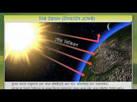 ভিডিও: গ্রিনহাউস 