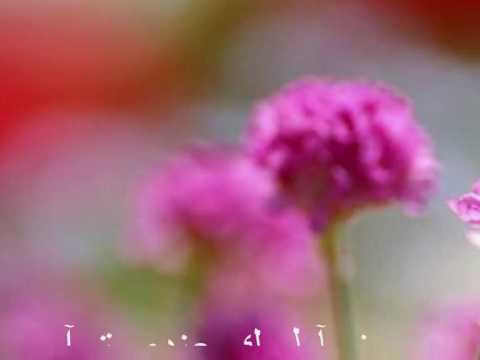 بس قول ابغى