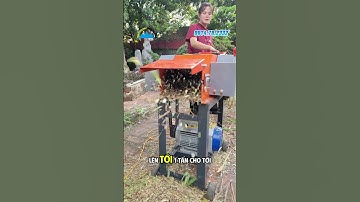 Máy Băm Cỏ G250 có băng tải tự động, giúp băm cỏ đạt năng suất cao