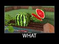 Minecraft wait what meme part 84 realistic minecraft Watermelon