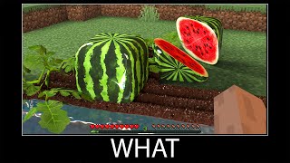 Minecraft wait what meme part 84 realistic minecraft Watermelon