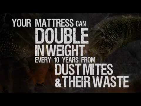 80% Of Allergies Linked To Household Dust Mites