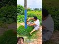 most powerful fevirwiek new viral gadget.