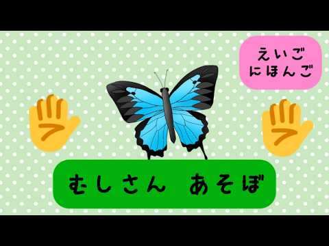 Let's Learn Insect Names!! Let's Play with Rhythm [English