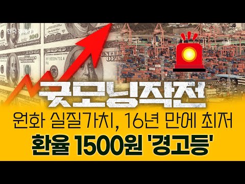1500원 바라보는 원·달러 환율... 韓 경제 '긴장', 들썩이는 물가 | 굿모닝작전_251124