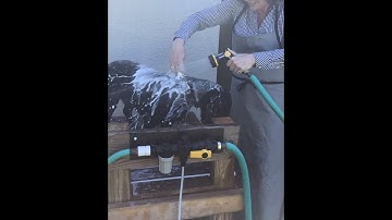 Lessons with Lela - Dog Washing with the Dosatron Venturi