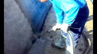 brestovene NURAY USTA.mp4