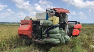 Kubota DC70 harvester in action screenshot 5