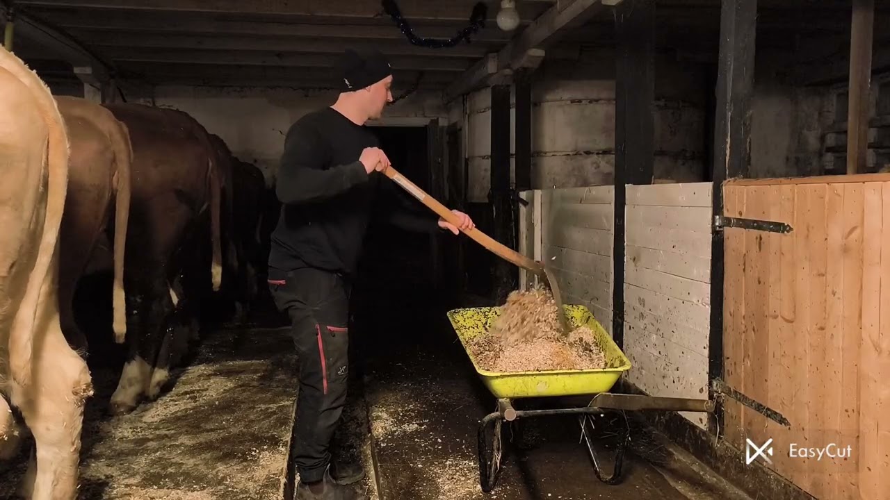 Traktor problem och ladugården 