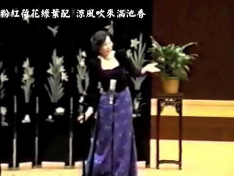 范宇文演唱滇南紅河民歌 送郎