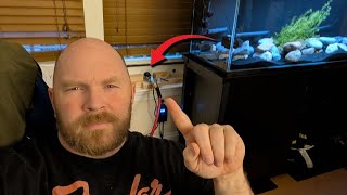 No One Told Me About This Secret Water Change Hack