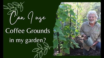 Never Throw Away Coffee Grounds After Watching This