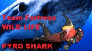 Details Team Fortress 2 Wild Life: Pyro Sharks Guide