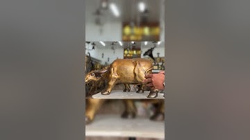 Trâu đồng #thếgiớicổxưa #phongthuy #phongthủy #doco #đồcổ