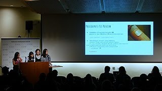 2017 Sci | Art Lab+Studio - Nano Patches