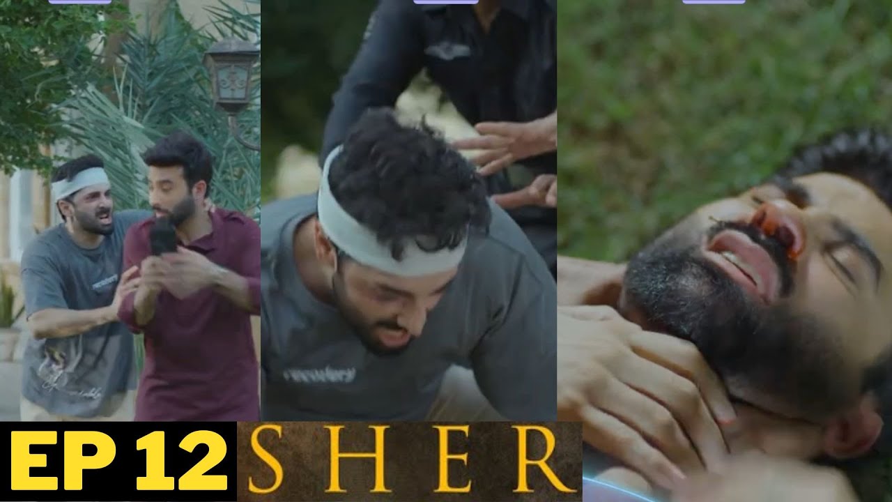 Sher Ep 12 | New Teaser Promo Review | How can the family save Sher Zaman from being declared insane