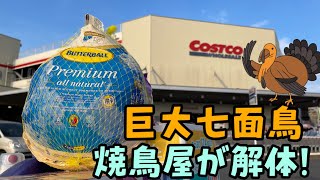 コストコの七面鳥を焼鳥屋が解体！初めての七面鳥解体にチャレンジ！サンクスギビングやクリスマスにいかがでしょう？