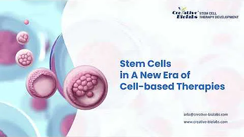 Stem Cells in A New Era of Cell based Therapies - Creative Biolabs - DayDayNews