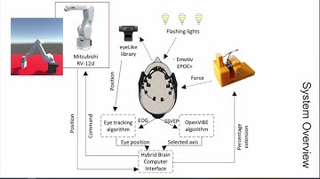 Use of Force Feedback Device in a Hybrid BCI based on SSVEP, EOG and Eye Tracking for Sorting Items