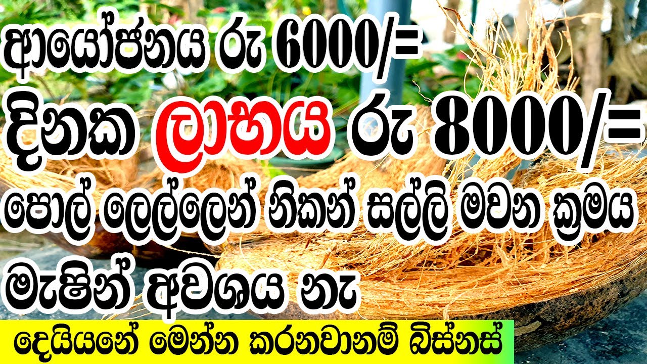පොල් ලෙලි ගෙවල් වලින් එකතු කරලා ඉක්මනින් දියුණු වෙමු|Coco Dreams Lanka
