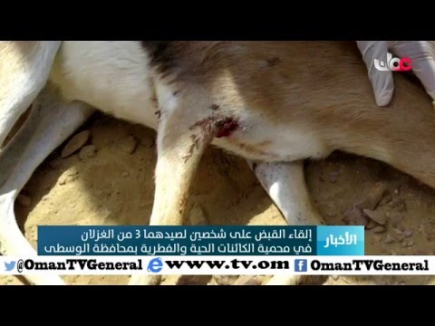 إلقاء القبض على شخصين لصيدهما 3 من الغزلان في محمية الكائنات الحية والفطرية بمحافظة الوسطى