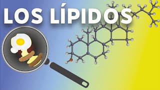 Los Lípidos. #videolección @cuadernodeciencias #bachillerato  #mapamental