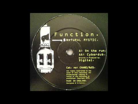 Natural Mystic – On The Run / Cyberdub – Vinyl (12