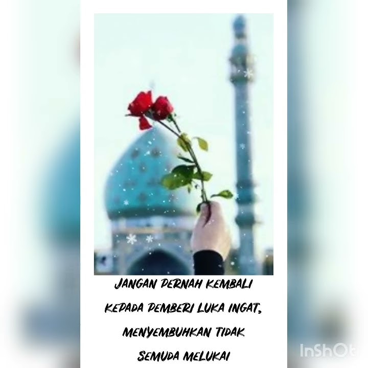 Snap wa sakit hati
