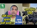 बंदिस्त शेळी पालन | Goat Farming | शेळी पालन सुरवात कशी करावी | उस्मानाबादी शेळी | Digambar Gaikwad