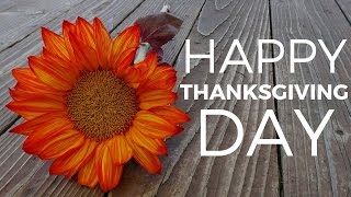 Best Wishes For Thanksgiving Day | Beautiful Happy Thanksgiving Quotes screenshot 5