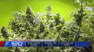 New research shows Cannabis has negative effects on heart health