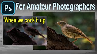 064 Photoshop for Amateur Photographers - Massive Mistake