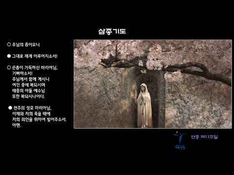영상썸네일