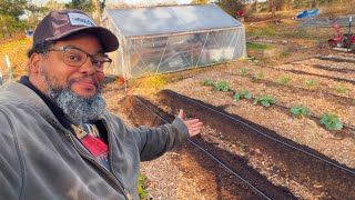 You Won't Believe How Easy Garden Bed Creation Is