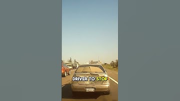 Insurance Scammer Reverses Into Driver On Highway! 😨