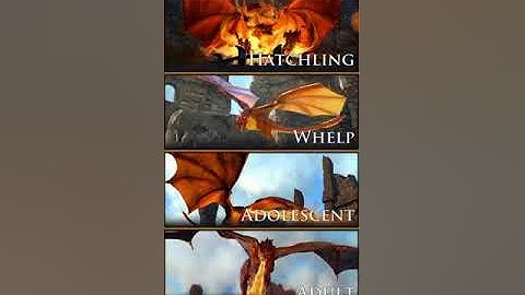 GoTC Dragon Talents: Whelp Tree