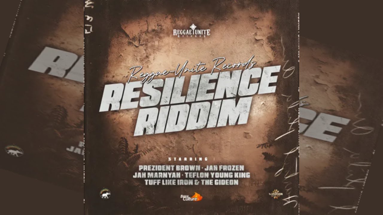 New Reggae Riddim Mix 2025 ~ Prezident Brown, The Gideon, Jah Frozen + (Resilience Riddim, December)