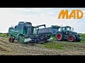 Fendt 5275 C al lavoro su frumento e mais